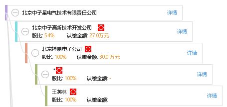 北京中子星电气技术有限责任公司 工商信息 信用报告 财务报表 电话地址查询 天眼查